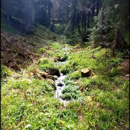 Sur La Rive Du
